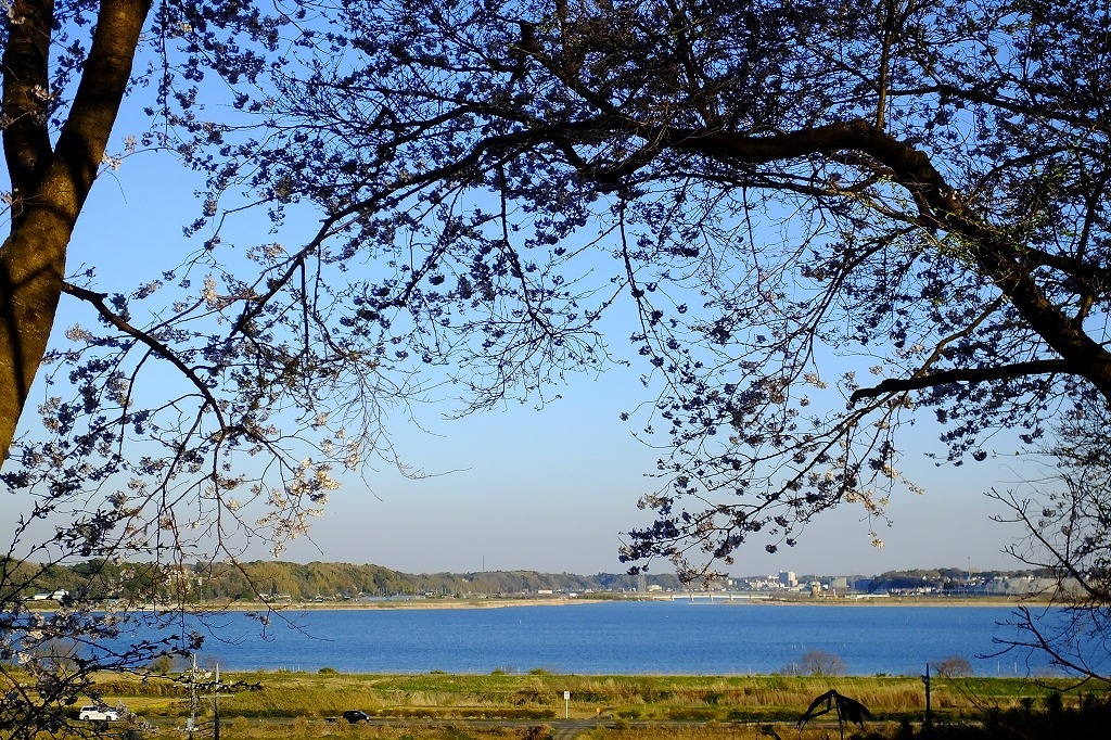 b0236251_10311748.jpg