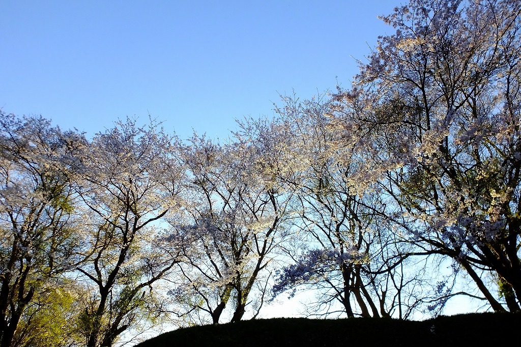 b0236251_10322539.jpg
