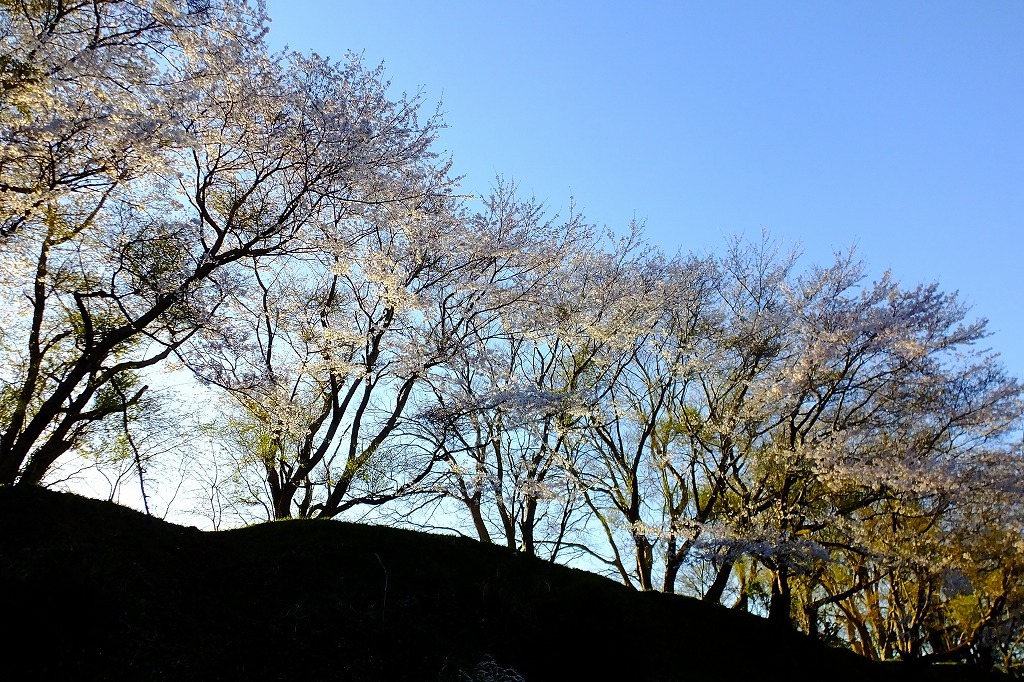 b0236251_10322965.jpg