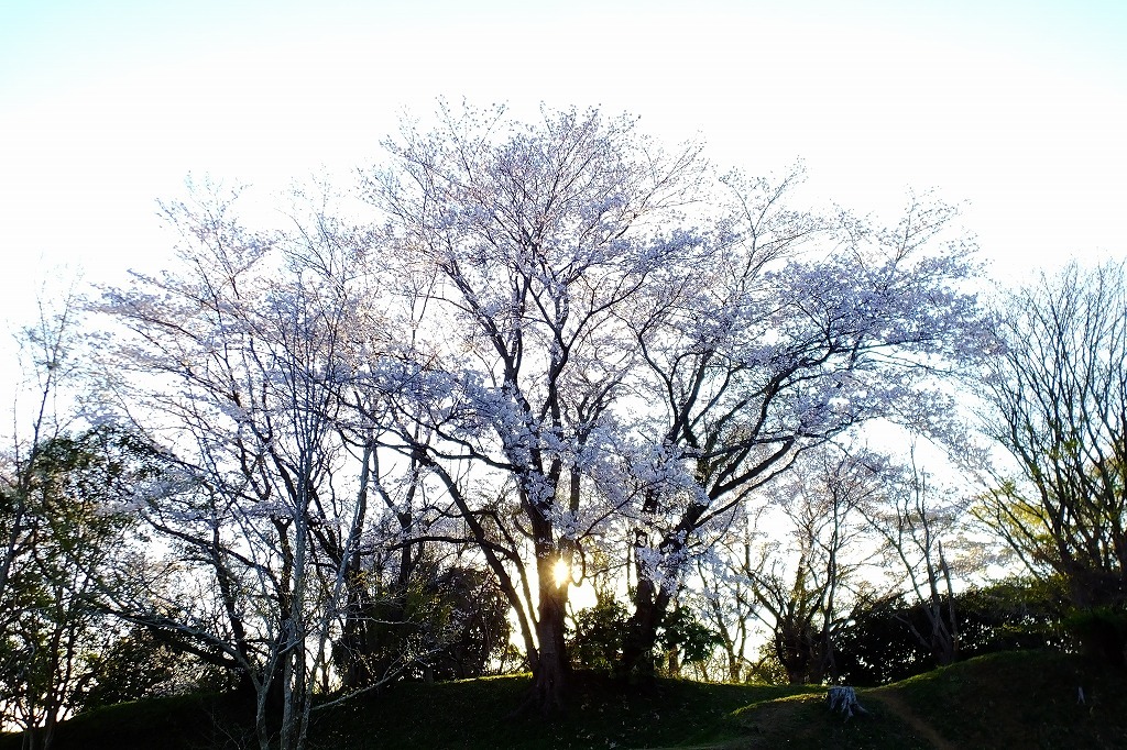b0236251_10394023.jpg