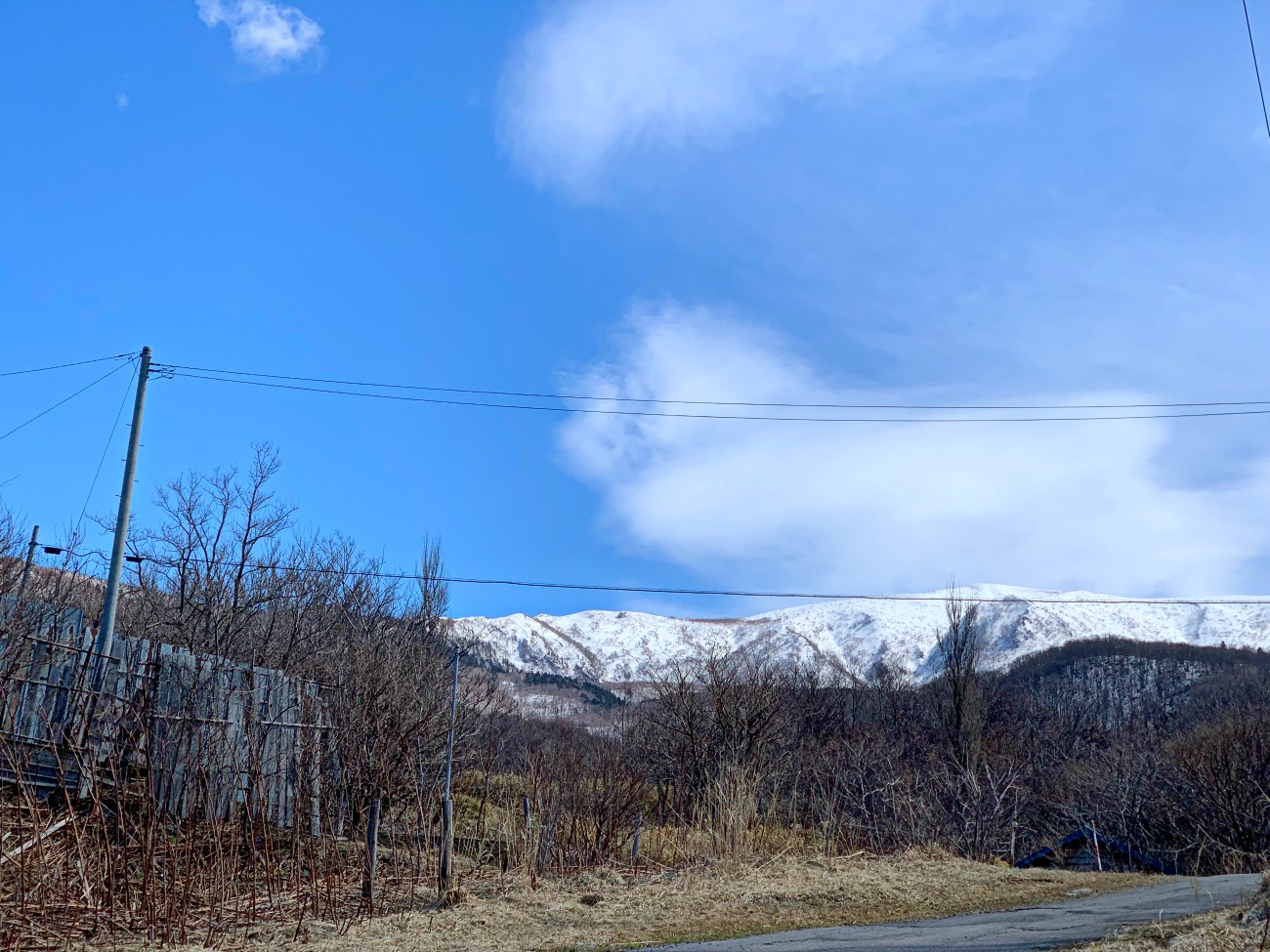 e0105954_9234076.jpg