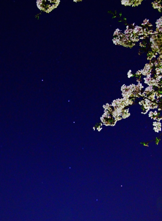 a0248459_12560383.jpg