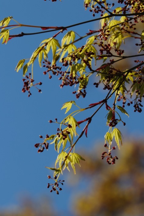 a0248459_13092171.jpg