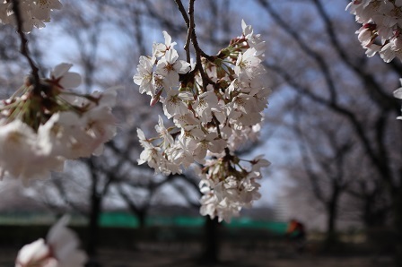 a0208560_13204679.jpg
