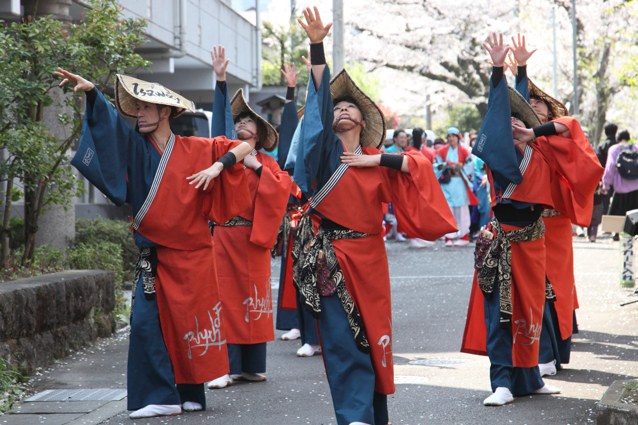 ソーラン山北よさこいフェスティバル2019【６】_c0299360_2318056.jpg