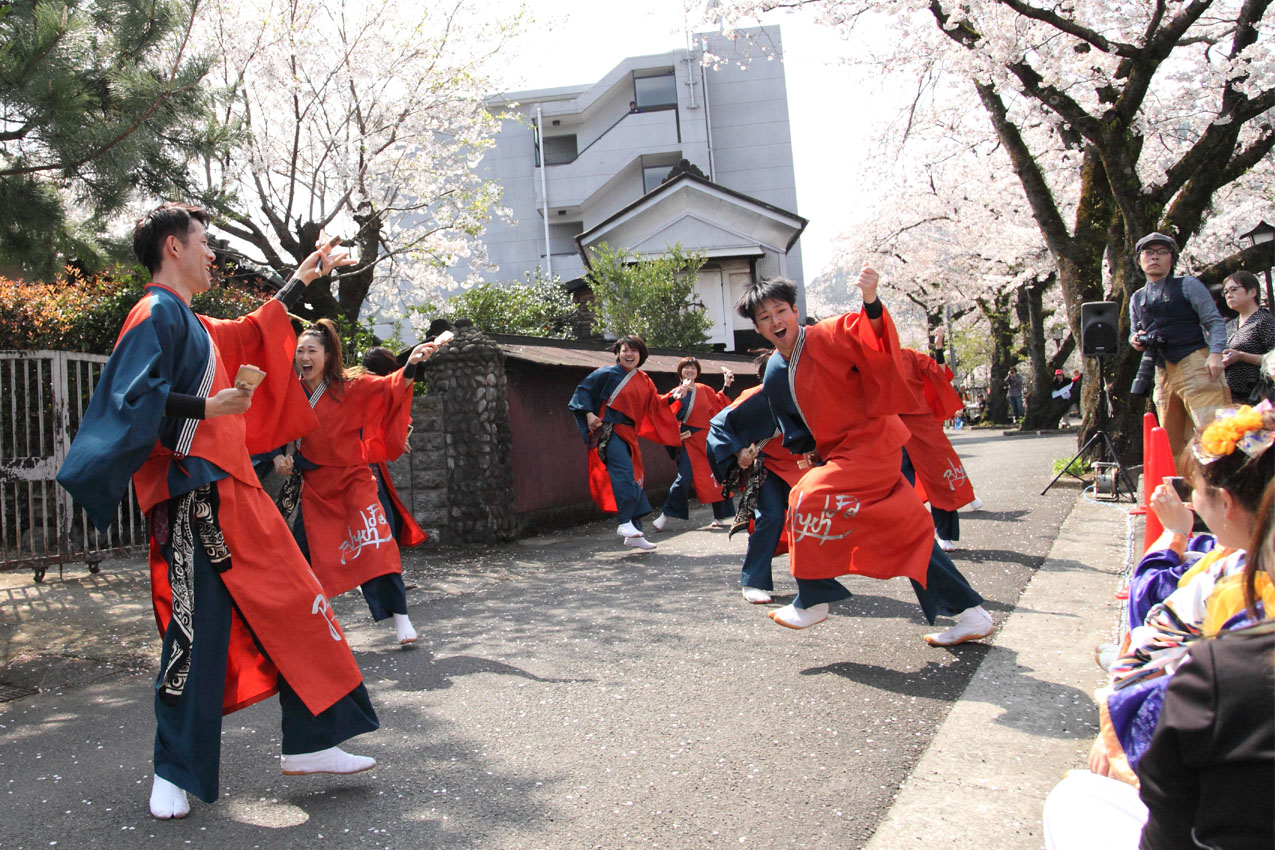 ソーラン山北よさこいフェスティバル2019【６】_c0299360_23225297.jpg