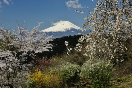 最新富士山の撮影記録_d0229560_21062623.jpg