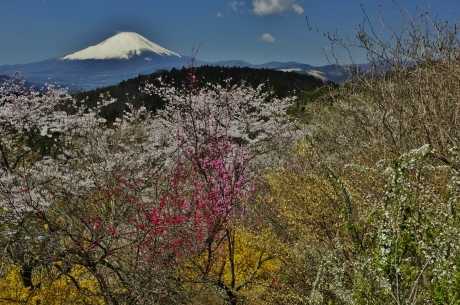 最新富士山の撮影記録_d0229560_21124120.jpg