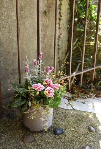 これからはペチュニアが主役 この植物をお買い２