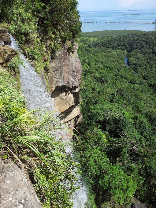 花見in青山霊園ついでに墓マイラー、ちょっと歴史資料、万葉集まがい、浜辺黒人について2019/4/3-8twitterまとめ_b0116271_19102623.jpg