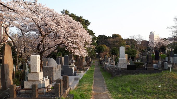 花見in青山霊園ついでに墓マイラー、ちょっと歴史資料、万葉集まがい、浜辺黒人について2019/4/3-8twitterまとめ_b0116271_19221895.jpg