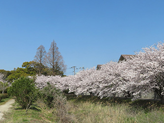 b0057675_21591115.jpg