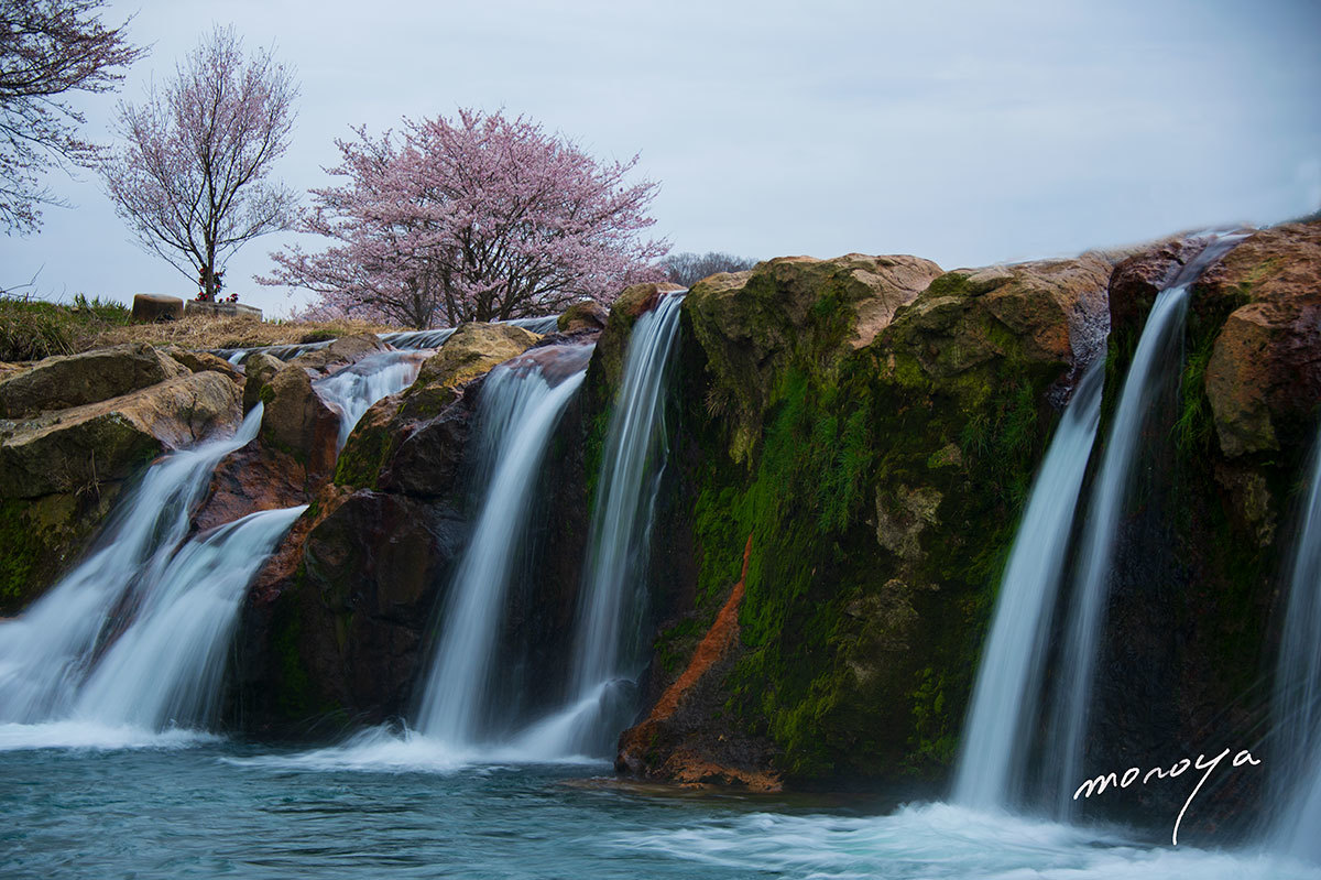 滝と桜_c0085877_06194021.jpg