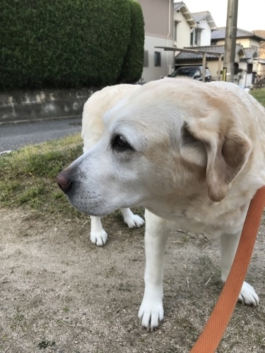 f0315081_22253906.jpeg