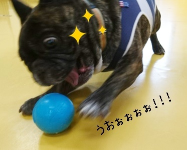 ボール遊び_f0357682_12030911.jpg