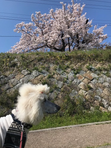a0216583_22000174.jpeg