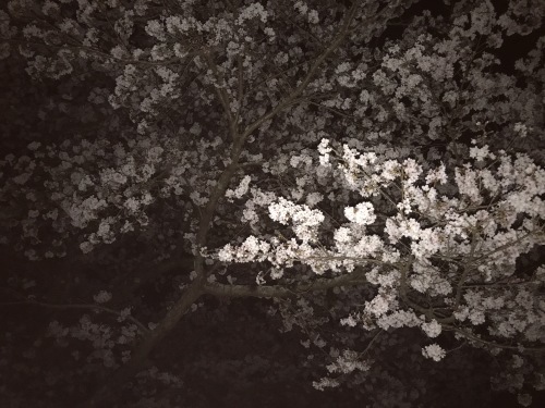 a0216583_22003950.jpeg