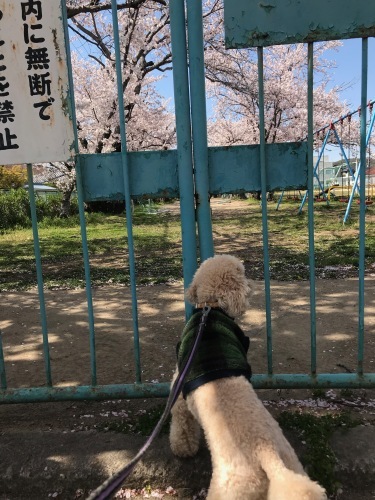 a0216583_22102725.jpeg