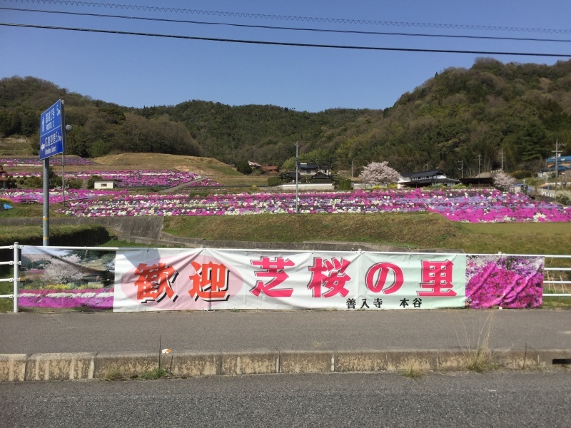 e0211285_22514331.jpeg