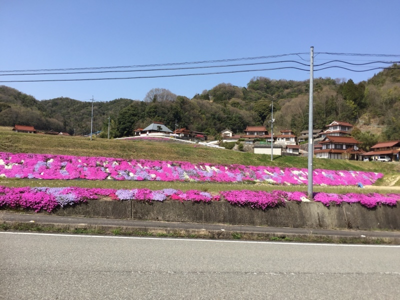 e0211285_22515734.jpeg