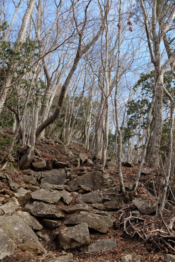 b0339488_22281589.jpg