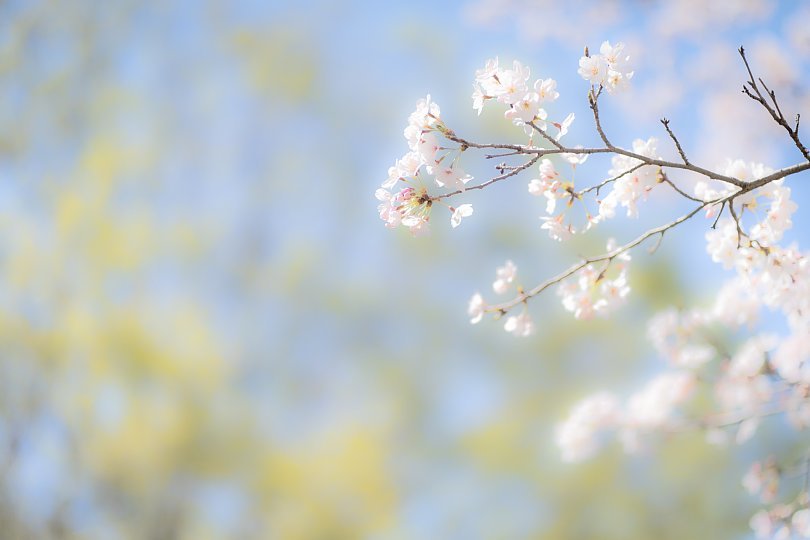 You Raise Me Up_d0353489_17173878.jpg