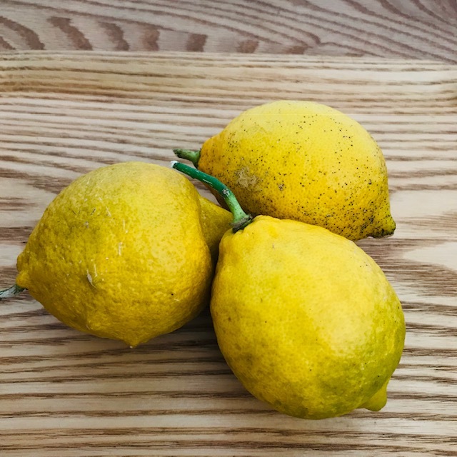 f0204295_15424576.jpg
