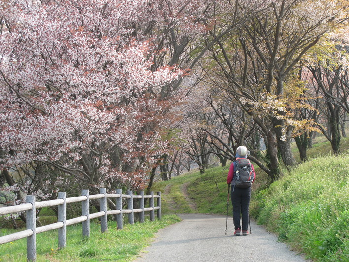 春霞の平尾台　2019.4.7（日）_a0166196_1313893.jpg