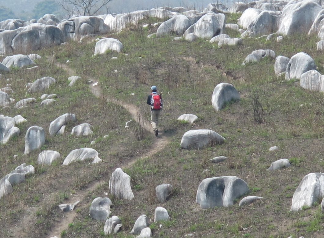 春霞の平尾台　2019.4.7（日）_a0166196_13202676.jpg