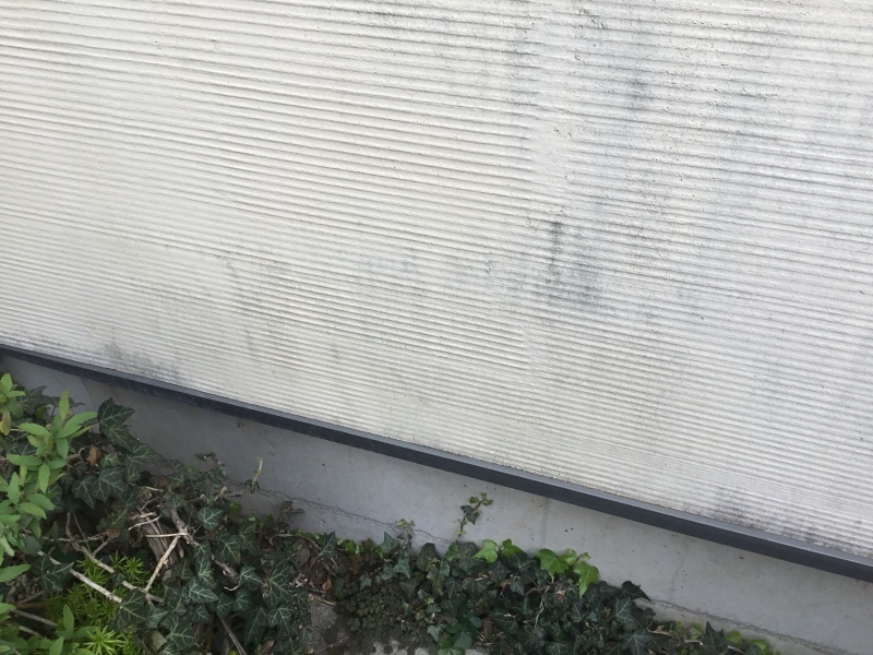 d0256297_17354746.jpeg