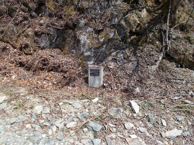 f0308898_16404507.jpg