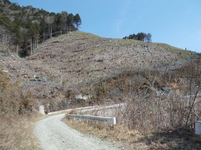 f0308898_16404609.jpg
