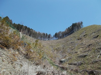 f0308898_16404615.jpg