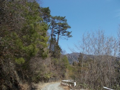f0308898_16413501.jpg