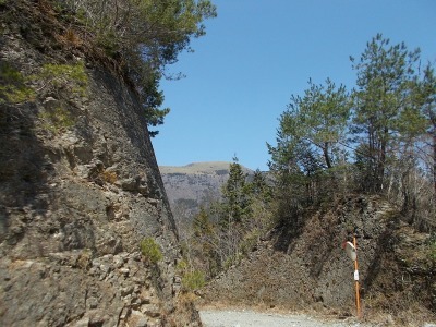 f0308898_16413642.jpg