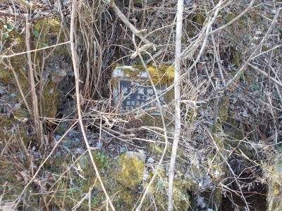 f0308898_16413662.jpg