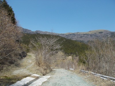 f0308898_16413684.jpg