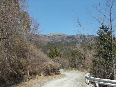 f0308898_16421705.jpg
