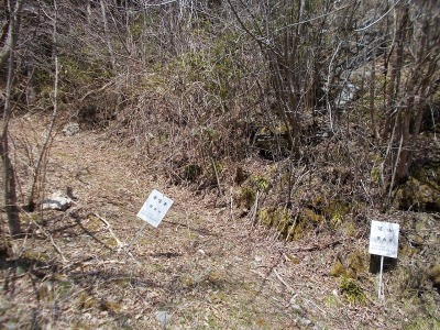 f0308898_16421822.jpg