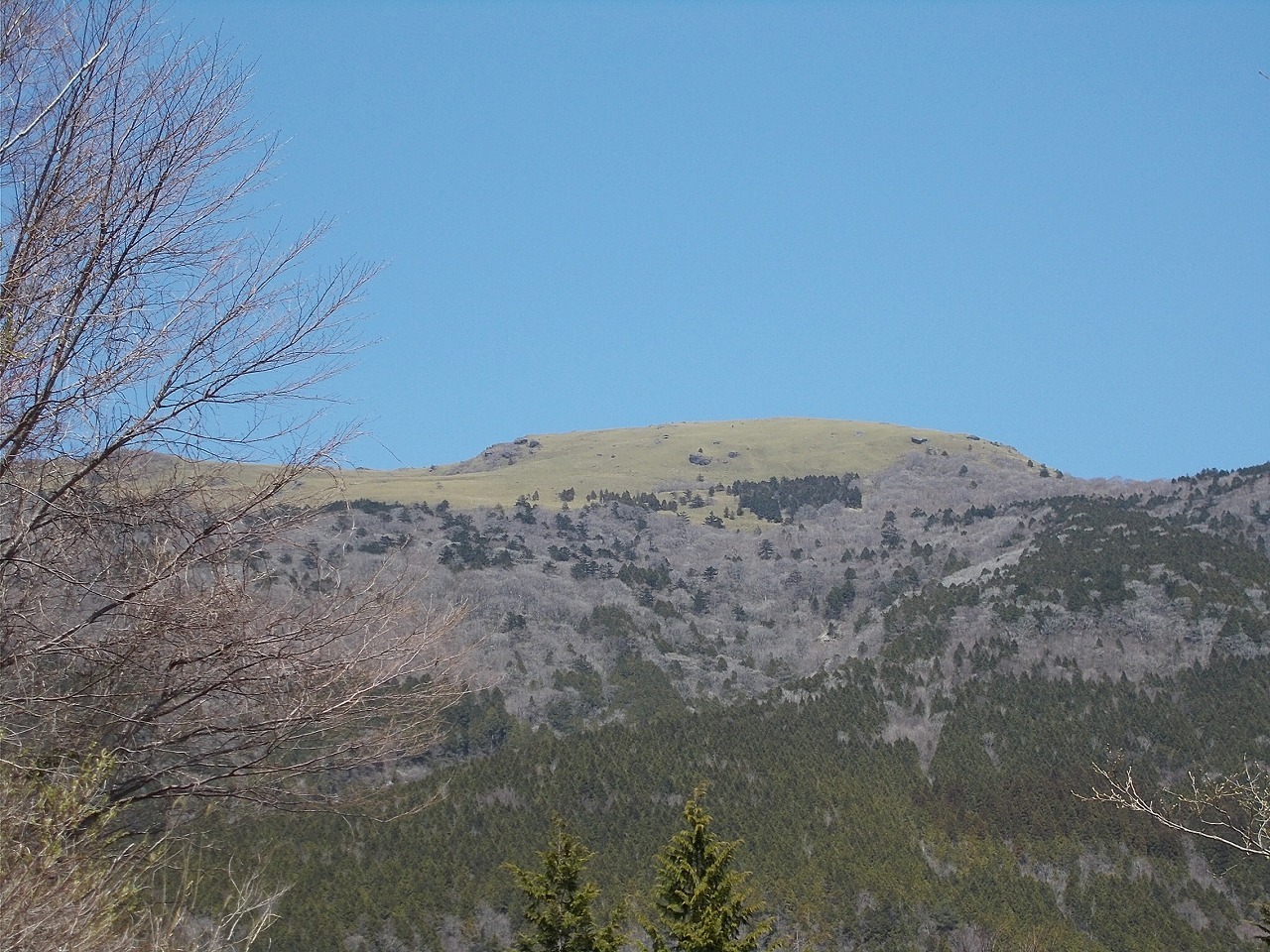 f0308898_16421883.jpg