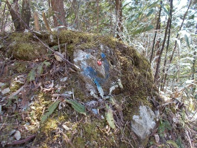 f0308898_16425909.jpg