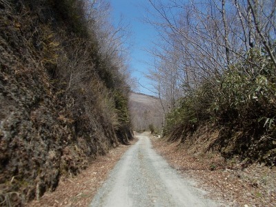 f0308898_16430082.jpg