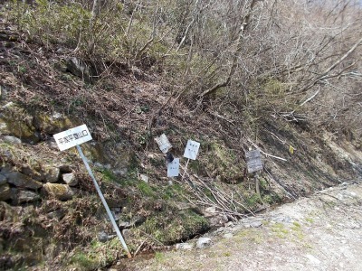 f0308898_16433733.jpg