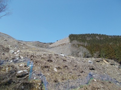 f0308898_16441166.jpg