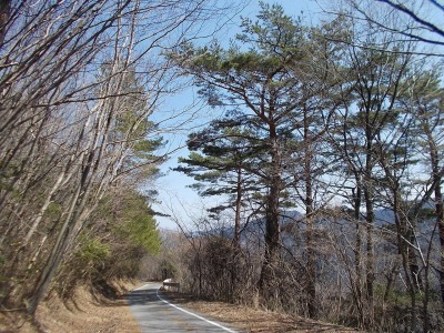 f0308898_16441248.jpg