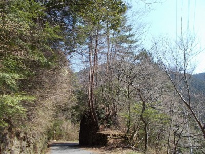 f0308898_16445265.jpg