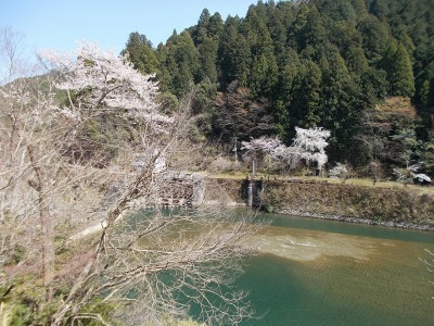 f0308898_16445492.jpg