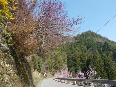 f0308898_16454015.jpg