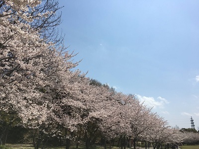 f0372998_15564597.jpg