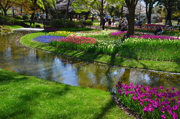 a0288500_20154716.jpg